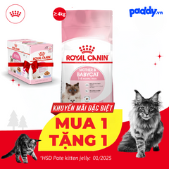 Thức Ăn Hạt Cho Mèo Mẹ & Mèo Con Royal Canin Mother & Babycat