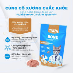 Pate Cho Mèo Mr Vet 70g