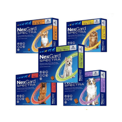 NexGard Spectra Trị Ve, Xổ Giun, Ngừa Ghẻ Cho Chó (Dạng viên nhai) - Paddy Pet Shop