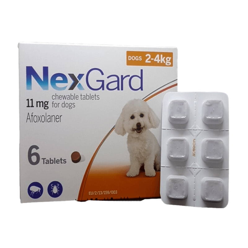 NexGard Trị Ve Rận Cho Chó An Toàn Hiệu Quả (Dạng Viên Nhai) - Paddy Pet Shop