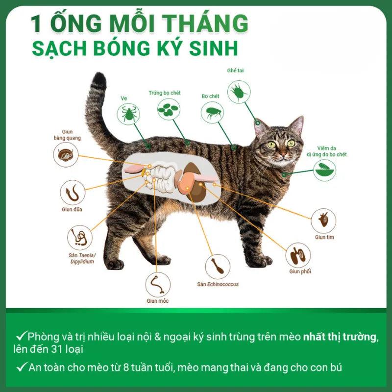 Nhỏ Gáy Cho Mèo Nexgard Combo Phòng & Trị Nội, Ngoại Ký Sinh - Paddy Pet Shop