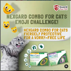 Nhỏ Gáy Cho Mèo Nexgard Combo Phòng & Trị Nội, Ngoại Ký Sinh - Paddy Pet Shop