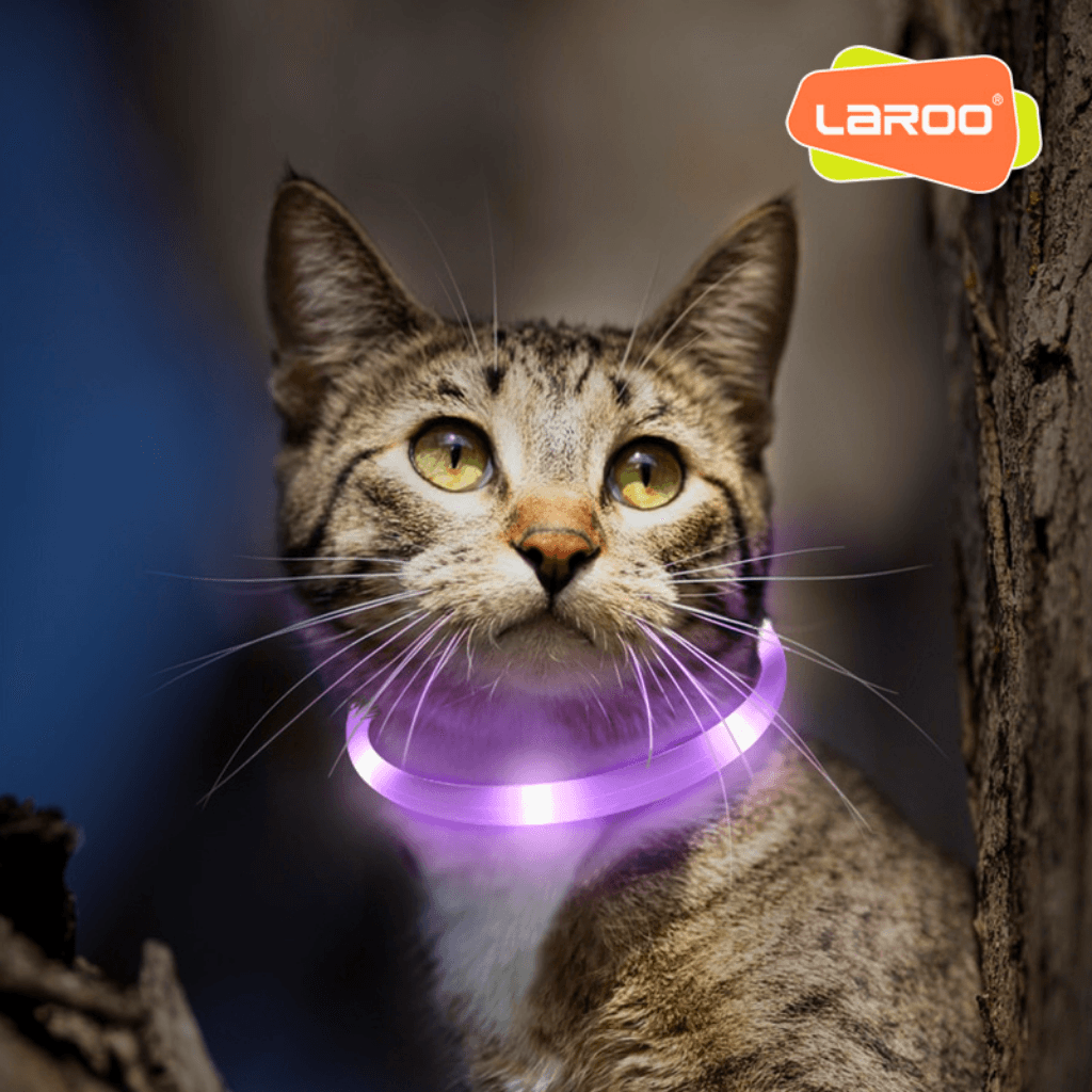 Vòng Cổ Chó Mèo Đèn LED Laroo Sạc USB - F35 35cm - Paddy Pet Shop