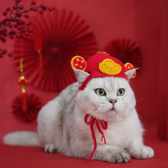Nón Len Tết Cho Chó Mèo Dễ Thương