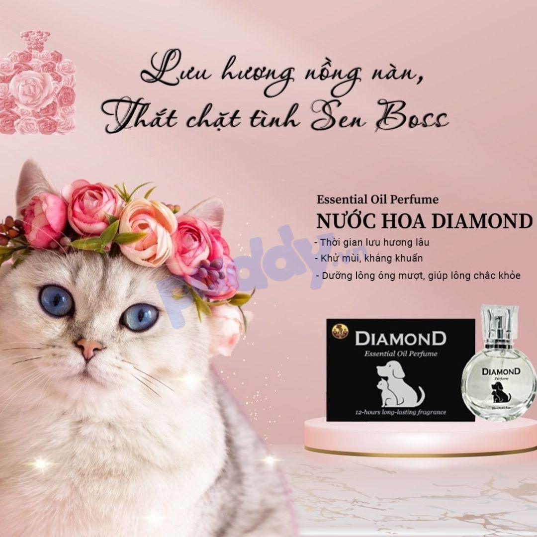 Nước Hoa Diamond Cho Chó Mèo Lưu Hương 12h - Paddy Pet Shop