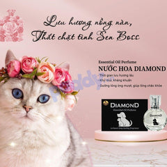 Nước Hoa Diamond Cho Chó Mèo Lưu Hương 12h - Paddy Pet Shop