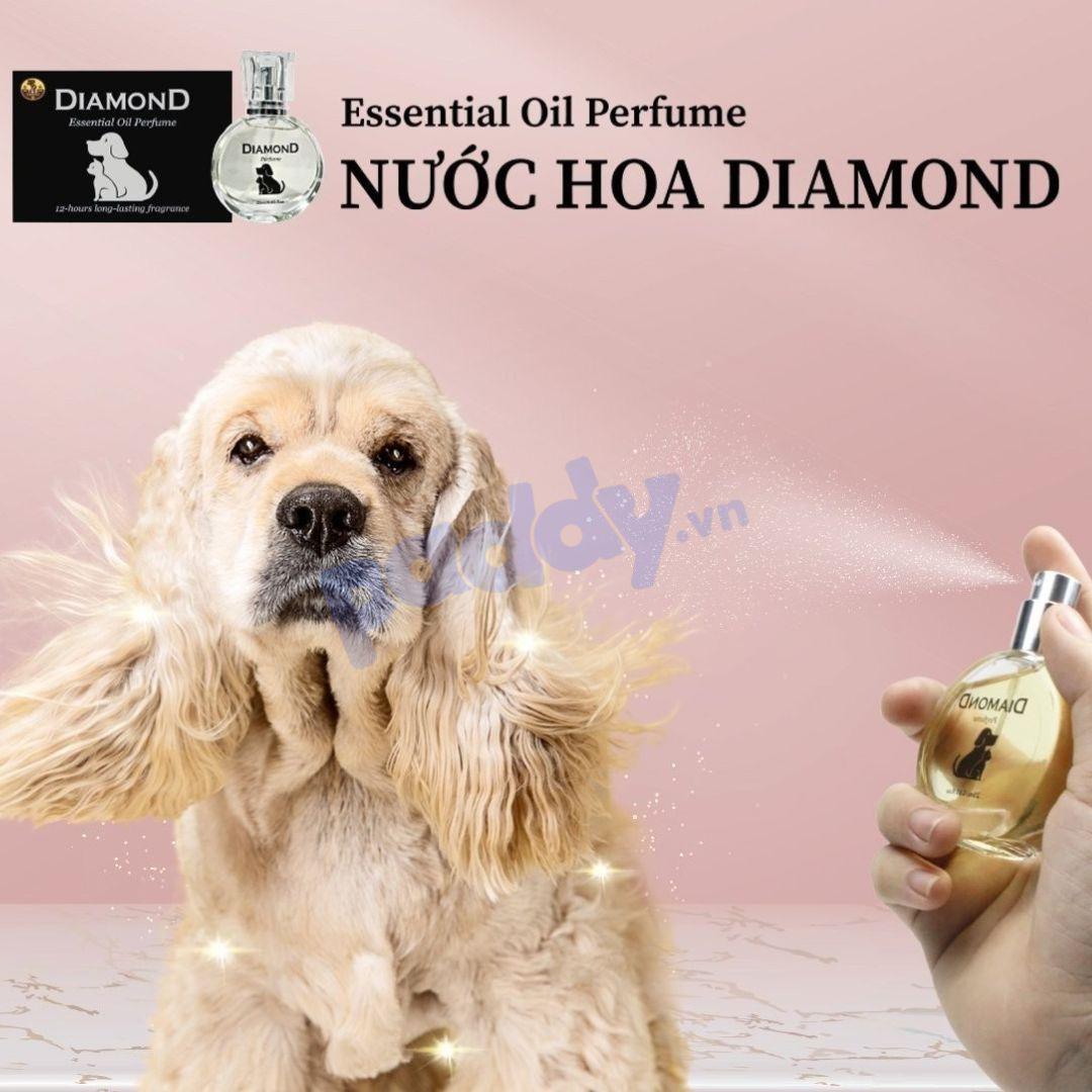 Nước Hoa Diamond Cho Chó Mèo Lưu Hương 12h - Paddy Pet Shop