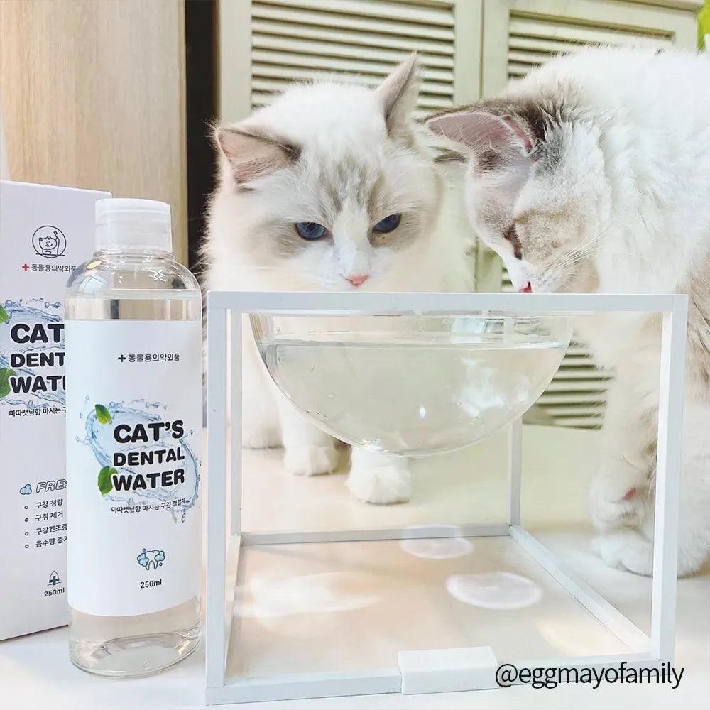 Nước Vệ Sinh Răng Miệng Cho Chó Mèo Jungle Monster Dental Water 250ml - Paddy Pet Shop