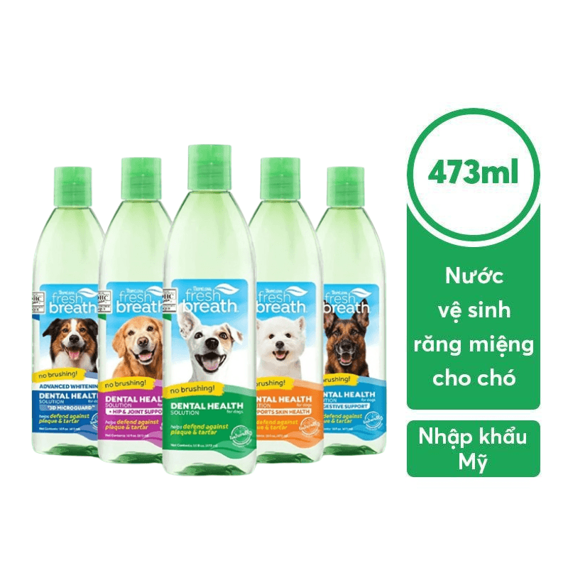Nước Vệ Sinh Răng Miệng Hỗ Trợ Sức Khỏe Cho Chó Tropiclean 473ml (Mỹ) - Paddy Pet Shop