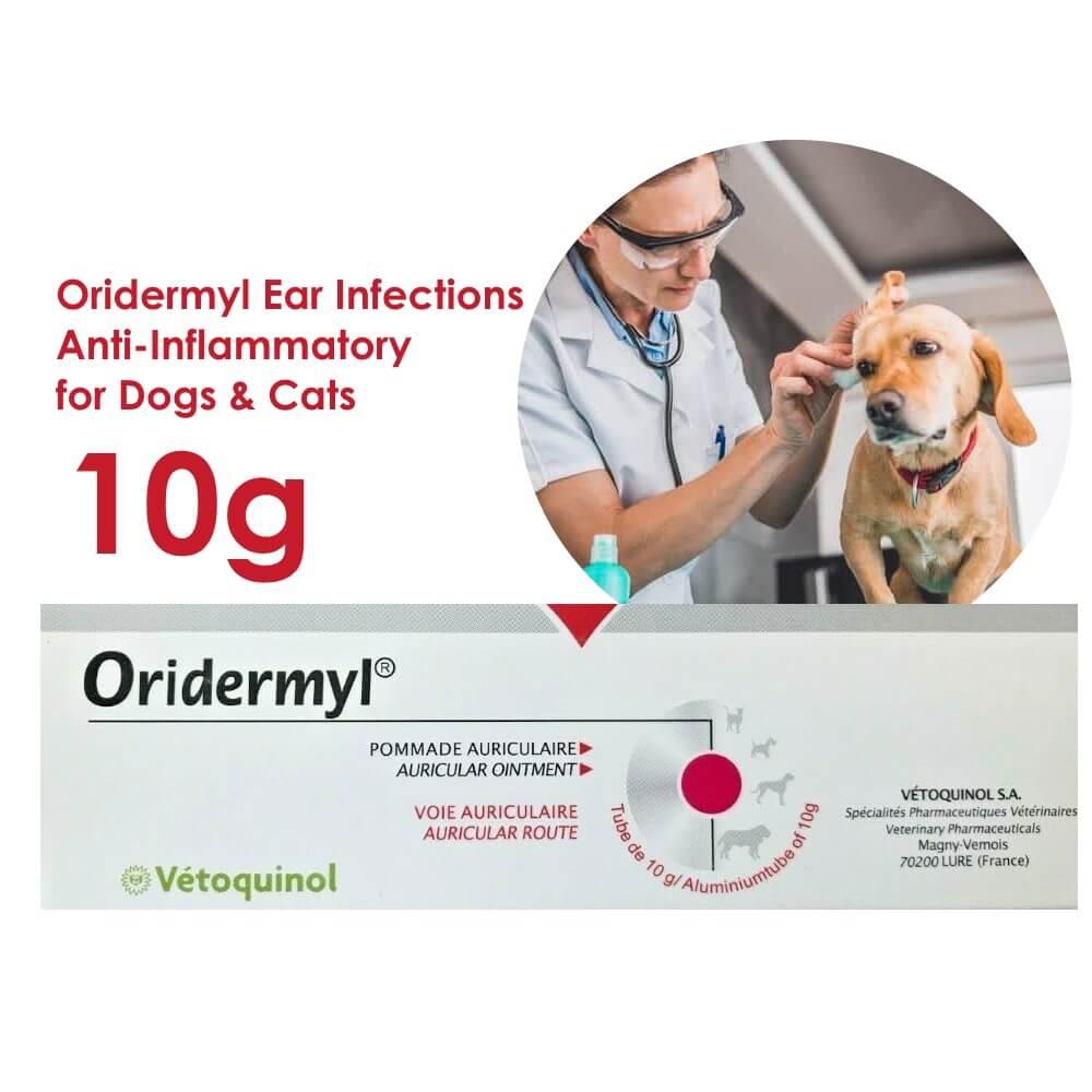 tri-ve-ran-tai-cho-meo-oridermyl-10g