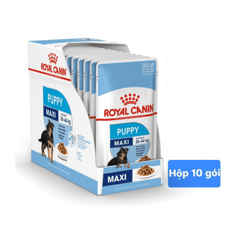 Pate Cho Chó Con Royal Canin Maxi Puppy 140g - Paddy Pet Shop