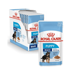 Pate Cho Chó Con Royal Canin Maxi Puppy 140g - Paddy Pet Shop