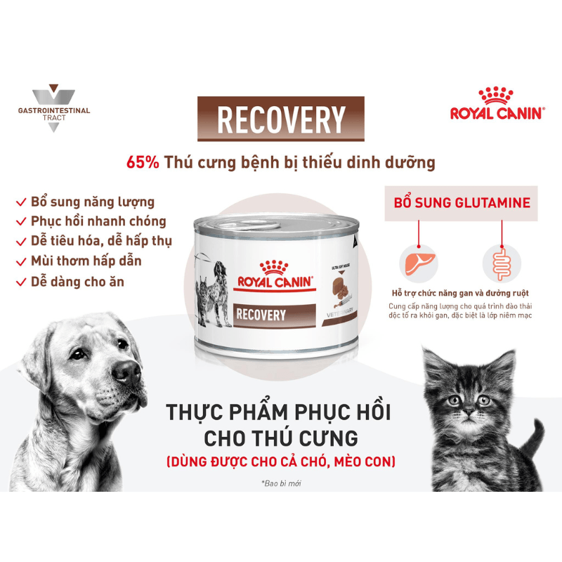 Pate Cho Chó Mèo Phục Hồi Sức Khỏe Royal Canin Recovery Lon 195g - Paddy Pet Shop