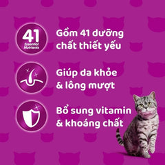 Pate Cho Mèo Whiskas 80g [Hộp 6 gói]