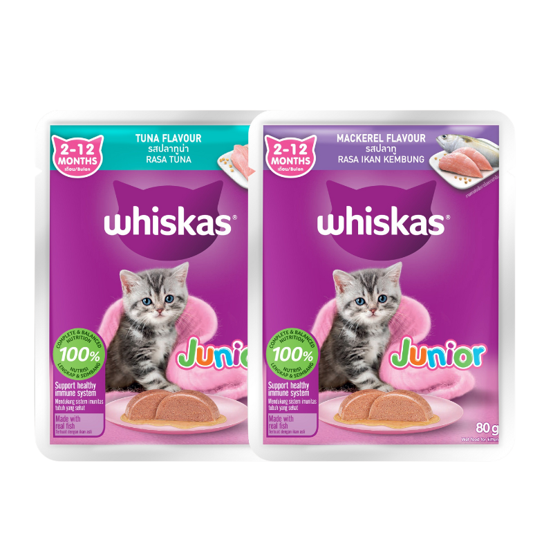 Pate Whiskas Junior Cho Mèo Con 80g