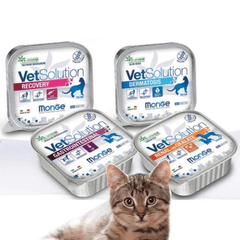 Pate Mèo Monge Cat Vet Solution Chăm Sóc Sức Khỏe 100g - Paddy Pet Shop