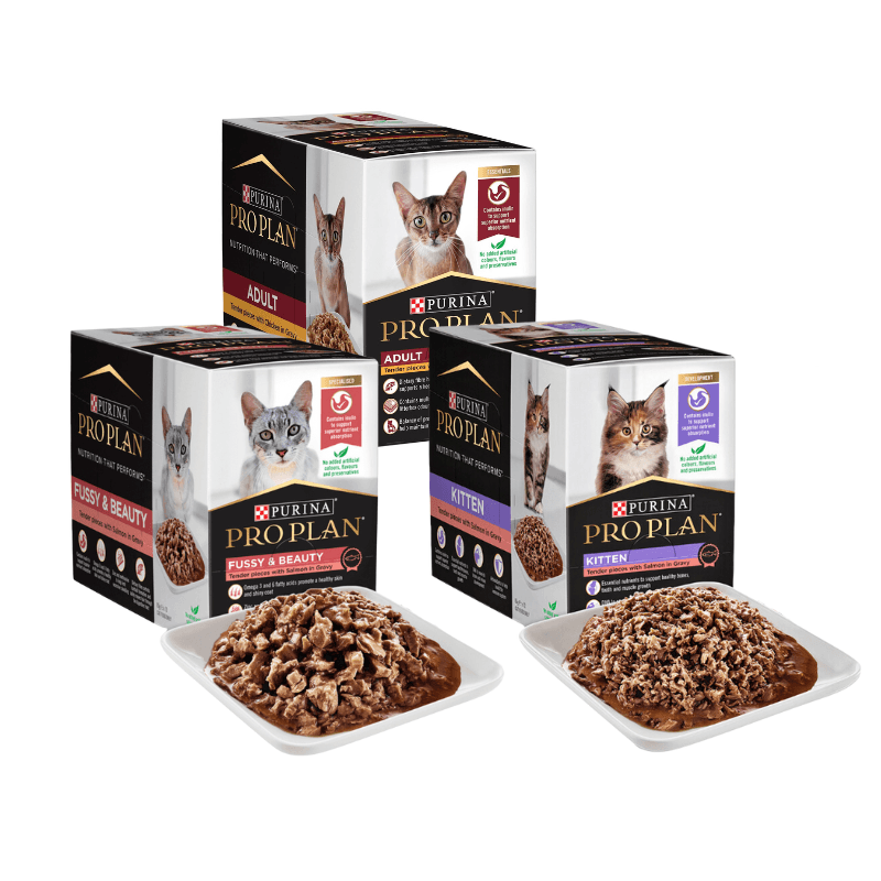 [Hộp 12 Túi] Pate Mèo Purina ProPlan Bổ Sung Dinh Dưỡng Gói 85g - Paddy Pet Shop