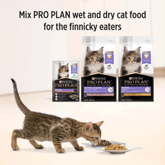 [Hộp 12 Túi] Pate Mèo Purina ProPlan Bổ Sung Dinh Dưỡng Gói 85g - Paddy Pet Shop