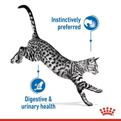 Pate Mèo Triệt Sản Royal Canin Indoor Sterilised 85g