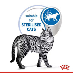 Pate Mèo Triệt Sản Royal Canin Indoor Sterilised 85g