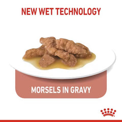 Pate Mèo Triệt Sản Royal Canin Indoor Sterilised 85g