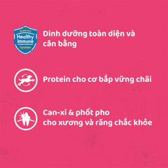 Pate Cho Chó Pedigree 80g