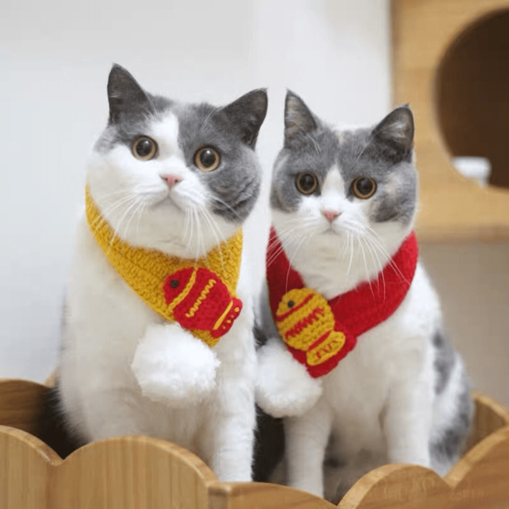 Khăn Len Tết Đỏ Đính Cá Vàng Cho Chó Mèo - Paddy Pet Shop
