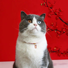 Vòng Cổ Tết Cho Chó Mèo Dây Vải Đỏ 16-22cm - Paddy Pet Shop