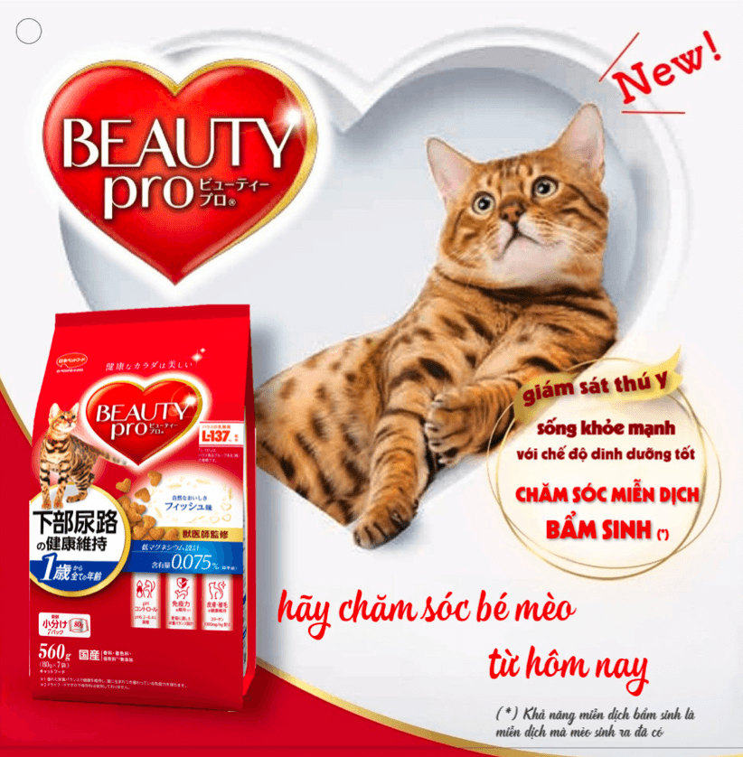 Hạt Mèo Beauty Pro Nhiều Loại - Paddy Pet Shop