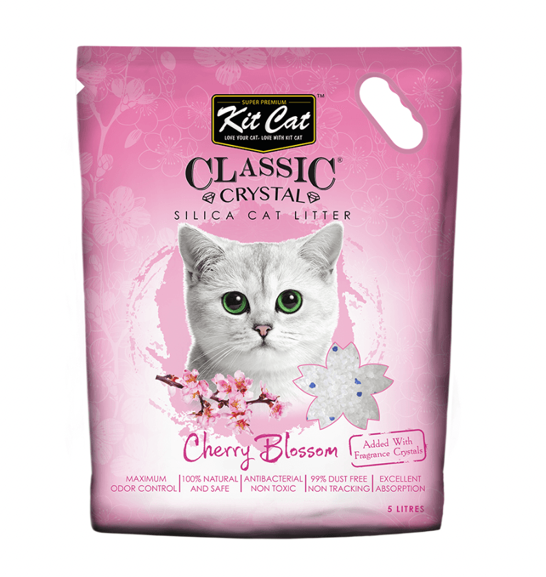 Cát Thuỷ Tinh Mèo Kit Cat Nhiều Mùi Hương 5L - Paddy Pet Shop