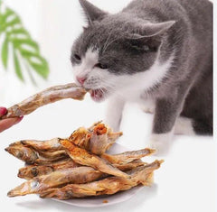 Hỗn Hợp Thịt Cá Sấy Khô Cho Chó Mèo 11 Loại 100g - Paddy Pet Shop