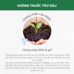 Snack Cho Chó Thịt Sấy Cứng Natural Core