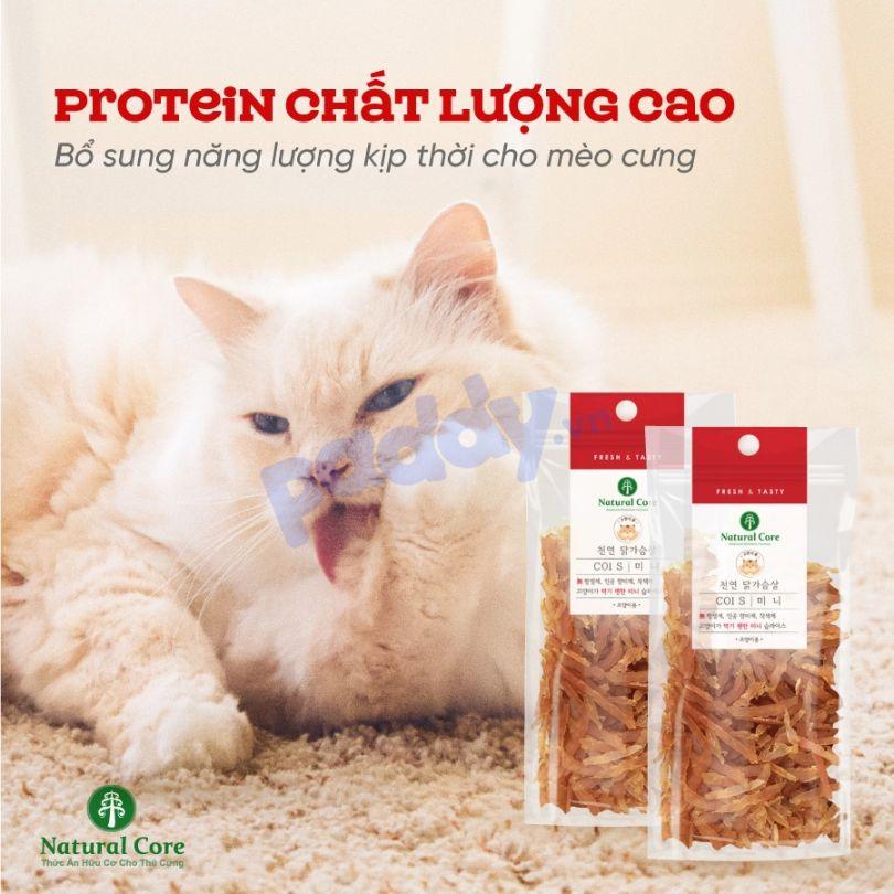 Snack Mèo Natural Core Nhiều Vị 40g - Paddy Pet Shop