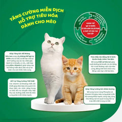 Sữa Cho Mèo Dạng Bột Dr.Kyan Petilac - Paddy Pet Shop