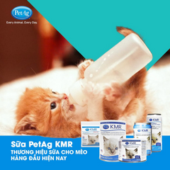 Sữa Bột Cao Cấp Cho Mèo KMR (Chính hãng USA)