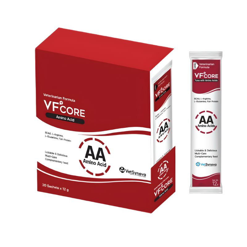 Súp Thưởng Cho Chó Mèo VFcore Chức Năng