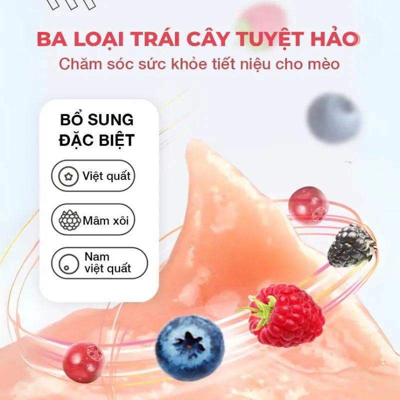 Súp Thưởng Cho Mèo Lemo Trái Cây Nắp Vặn 100g - Paddy Pet Shop