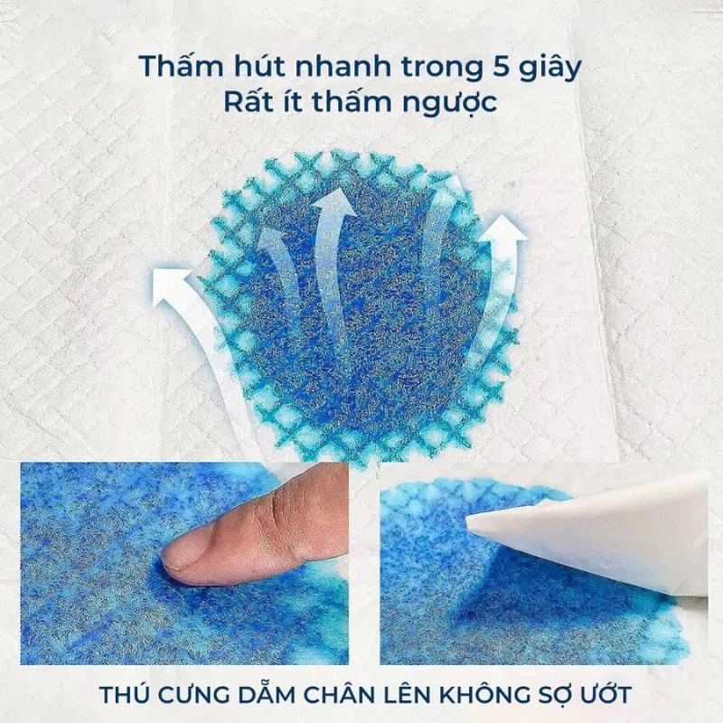 cách hoạt động của tả lót