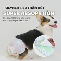 Tã Lót Cho Chó ĐỰC FOFOS Diapers