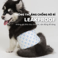 Tã Lót Cho Chó ĐỰC FOFOS Diapers