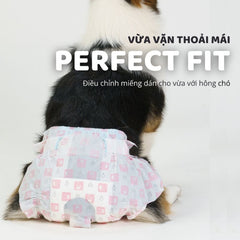 Tã Lót Cho Chó CÁI FOFOS Diapers
