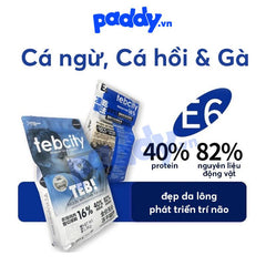 Thức Ăn Hạt Mèo Teb City Mix Nhiều Vị - Paddy Pet Shop