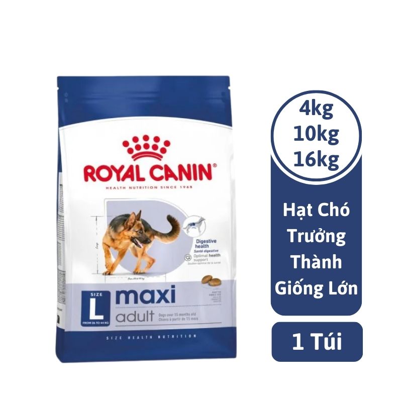 Thức Ăn Cho Chó Lớn Royal Canin Maxi Adult