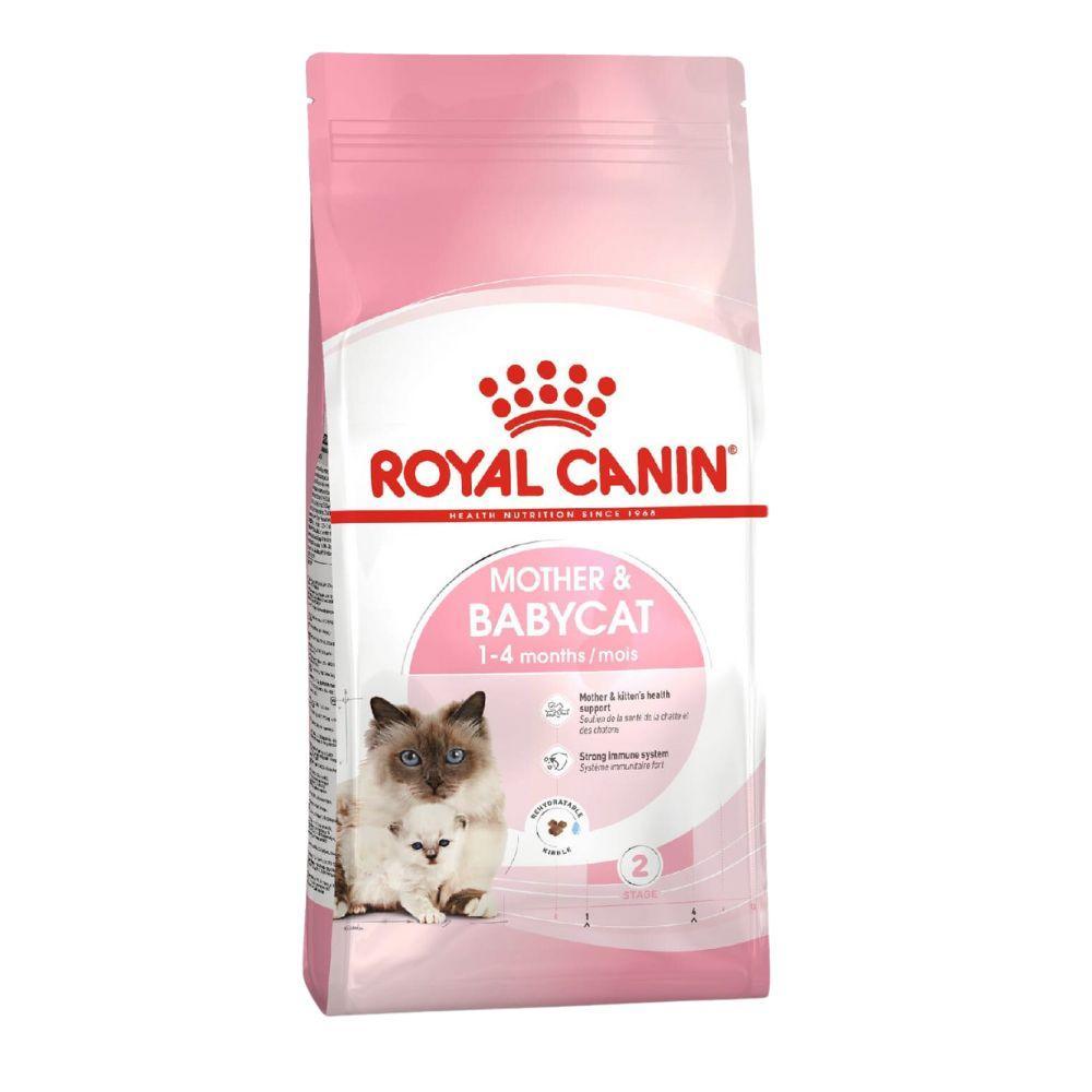 Thức Ăn Hạt Cho Mèo Mẹ & Mèo Con Royal Canin Mother & Babycat - Paddy Pet Shop