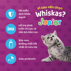 Hạt Whiskas Junior Cho Mèo Con