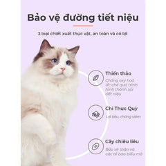 Hạt Cho Mèo Lemo Vị Gà Mix Topping 1.5kg - Paddy Pet Shop