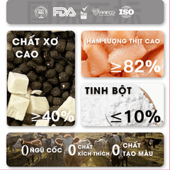 Thức Ăn Hạt Mèo Teb City Mix Nhiều Vị - Paddy Pet Shop