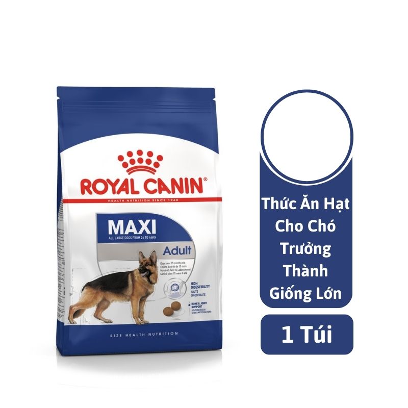 Thức Ăn Cho Chó Lớn Royal Canin Maxi Adult