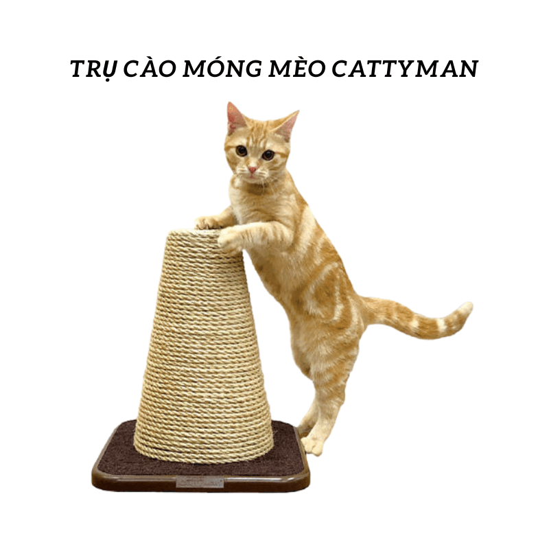 Trụ Cào Móng Mèo CattyMan Hình Tam Giác - Paddy Pet Shop