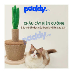 Trụ Cào Móng Mèo FOFOS Hình Chậu Cây - Paddy Pet Shop